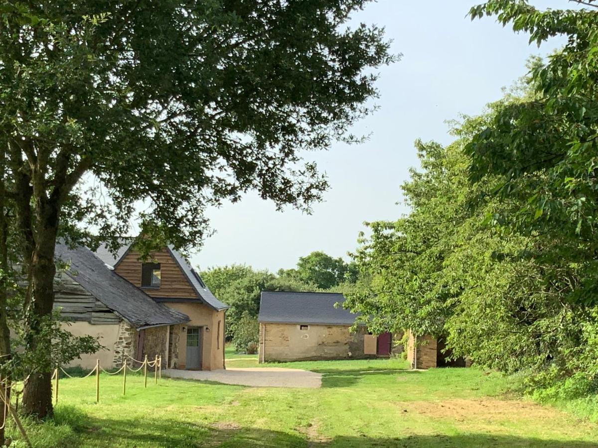 Le Plessis Aux Oiseaux Hotel Saint-Fort ภายนอก รูปภาพ